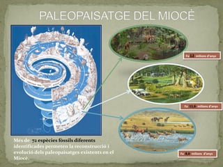 Fa 12 milions d’anys




                                                 Fa 11,6 milions d’anys




Més de 72 espècies fòssils diferents
identificades permeten la reconstrucció i
evolució dels paleopaisatges existents en el   Fa 8,6 milions d’anys
Miocè.
 