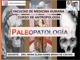 FACULTAD DE MEDICINA HUMANA
CURSO DE ANTROPOLOGÍA
DOCENTE: DRA. MARIA ELENA RAMIS BRAVO DE CAYCHO
 