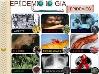 EP DEMI      L GIA
                             EPIDÈMIES




LA PESTE   LA VIRUELA         EL CÓLERA




EL LEPRA   FIEBRE AMARILLA   LA SÍFILIS




LA POLIO   TUBERCULOSIS       SIDA
 