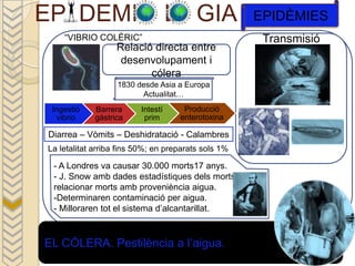 EP DEMI                            L GIA             EPIDÈMIES
    “VIBRIO COLÈRIC”                                  Transmisió
                   Relació directa entre
                    desenvolupament i
                          cólera
                   1830 desde Asia a Europa
                         Actualitat…
 Ingestió    Barrera     Intestí     Producció
   vibrio    gástrica     prim      enterotoxina

Diarrea – Vòmits – Deshidratació - Calambres
La letalitat arriba fins 50%; en preparats sols 1%

 - A Londres va causar 30.000 morts17 anys.
 - J. Snow amb dades estadístiques dels morts va
 relacionar morts amb proveniència aigua.
 -Determinaren contaminació per aigua.
 - Milloraren tot el sistema d’alcantarillat.



EL CÓLERA. Pestilència a l’aigua.
 