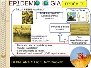 EP DEMI                       L GIA                    EPIDÈMIES
   VIRUS “FIEBRE AMARILLA”                                      Transmisió
                           1494 “La Española”
                            Actualitat (Africa-
                                America)

                                          Espanyols en combat
                                           Inmunes a “fiebre
                                          6 vaixells
                                                amarilla”
                                          2700 homens

                 Baixes espanyoles;
                 · Combat: 2200                                  Anglesos en combat
                                                                       50%
                 · “F. amarilla”: 13300                          124 vaixells
                                                                convalescents per
                                                                 “fiebre amarilla”
                                                                 23000 homens
   · Febra alta. Mal de cap i d’esquena.
   · Vomits i “escalofrios”
   · Color amarillento de la piel.
   · Prevenció amb vacunació (10-30 anys inmunitat)


FIEBRE AMARILLA; “El terror tropical”
 