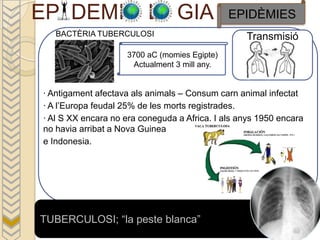 EP DEMI                   L GIA               EPIDÈMIES
   BACTÈRIA TUBERCULOSI                           Transmisió
                    3700 aC (momies Egipte)
                     Actualment 3 mill any.


· Antigament afectava als animals – Consum carn animal infectat
· A l’Europa feudal 25% de les morts registrades.
· Al S XX encara no era coneguda a Africa. I als anys 1950 encara
no havia arribat a Nova Guinea
e Indonesia.




TUBERCULOSI; “la peste blanca”
 