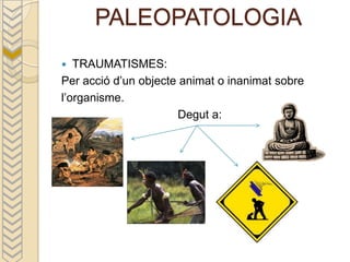 PALEOPATOLOGIA
  TRAUMATISMES:
Per acció d’un objecte animat o inanimat sobre
l’organisme.
                      Degut a:
 