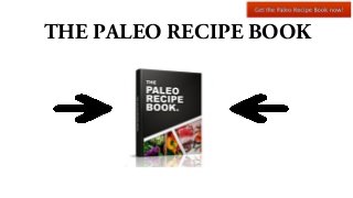 THE PALEO RECIPE BOOK

 