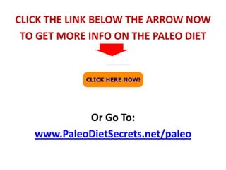 Paleo Diet For Athletes Recipes The Paleo Diet For Athletes Improves Athletic Performance