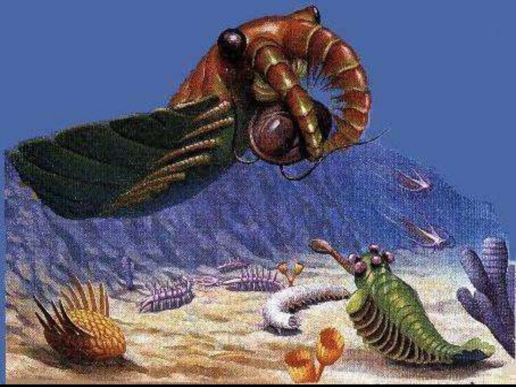 Paleozoic Era, Earth Science Lesson PowerPoint, Geologic Events