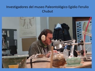 Investigadores del museo Paleontológico Egidio Ferulio 
Chubut 
 