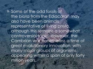 Some of the odd fossils of the biota from the Ediacaran may also have been animals representative of living phyla, although this remains a somewhat controversial topic. However, the Cambrian was nonetheless a time of great evolutionary innovation, with many major groups of organisms appearing within a span of only forty million years. 