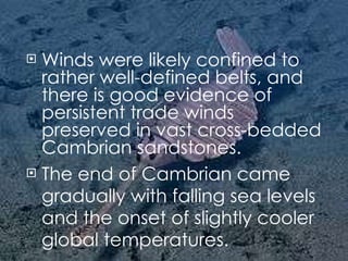 Winds were likely confined to rather well-defined belts, and there is good evidence of persistent trade winds preserved in vast cross-bedded Cambrian sandstones. The end of Cambrian came gradually with falling sea levels and the onset of slightly cooler global temperatures. 