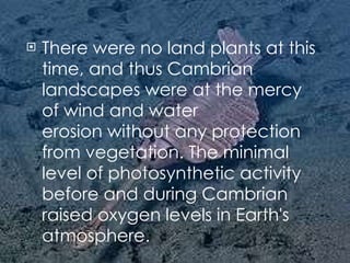 There were no land plants at this time, and thus Cambrian landscapes were at the mercy of wind and water erosion without any protection from vegetation. The minimal level of photosynthetic activity before and during Cambrian raised oxygen levels in Earth's atmosphere. 