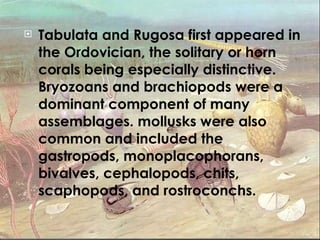 Tabulata and Rugosa first appeared in the Ordovician, the solitary or horn corals being especially distinctive. Bryozoans and brachiopods were a dominant component of many assemblages. mollusks were also common and included the gastropods, monoplacophorans, bivalves, cephalopods, chits, scaphopods, and rostroconchs.   
