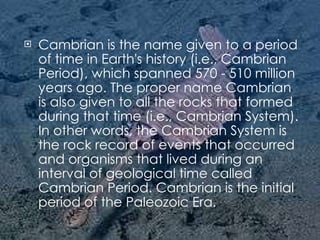 Cambrian is the name given to a period of time in Earth's history (i.e., Cambrian Period), which spanned 570 - 510 million years ago. The proper name Cambrian is also given to all the rocks that formed during that time (i.e., Cambrian System). In other words, the Cambrian System is the rock record of events that occurred and organisms that lived during an interval of geological time called Cambrian Period. Cambrian is the initial period of the Paleozoic Era. 