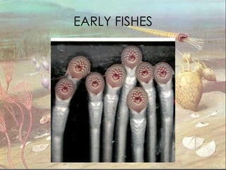 EARLY FISHES 