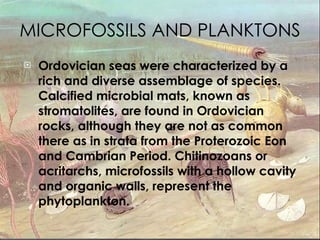 MICROFOSSILS AND PLANKTONS Ordovician seas were characterized by a rich and diverse assemblage of species. Calcified microbial mats, known as stromatolites, are found in Ordovician rocks, although they are not as common there as in strata from the Proterozoic Eon and Cambrian Period. Chitinozoans or acritarchs, microfossils with a hollow cavity and organic walls, represent the phytoplankton.  