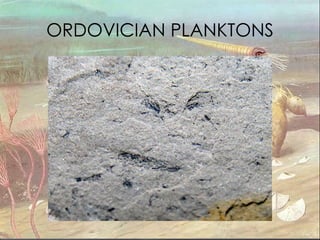 ORDOVICIAN PLANKTONS 