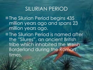 SILURIAN PERIOD The Silurian Period begins 435 million years ago and spans 23 million years ago.  The Silurian Period is named after the ”Silures”, an ancient British tribe which inhabited the Welsh Borderland during the Roman times.   