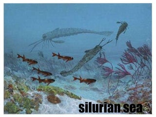 silurian sea  
