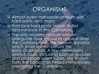 ORGANISMS Almost every metazoan phylum with hard parts, and many  that lack hard parts, made its first appearance in the Cambrian. The only modern phylum with an adequate fossil record to appear after the Cambrian was the phylum Bryozoa, which is not known before the early Ordovician. A few mineralized animal fossils, including sponge spicules and probable worm tubes, are known from the Ediacaran Period immediately preceding the Cambrian.  