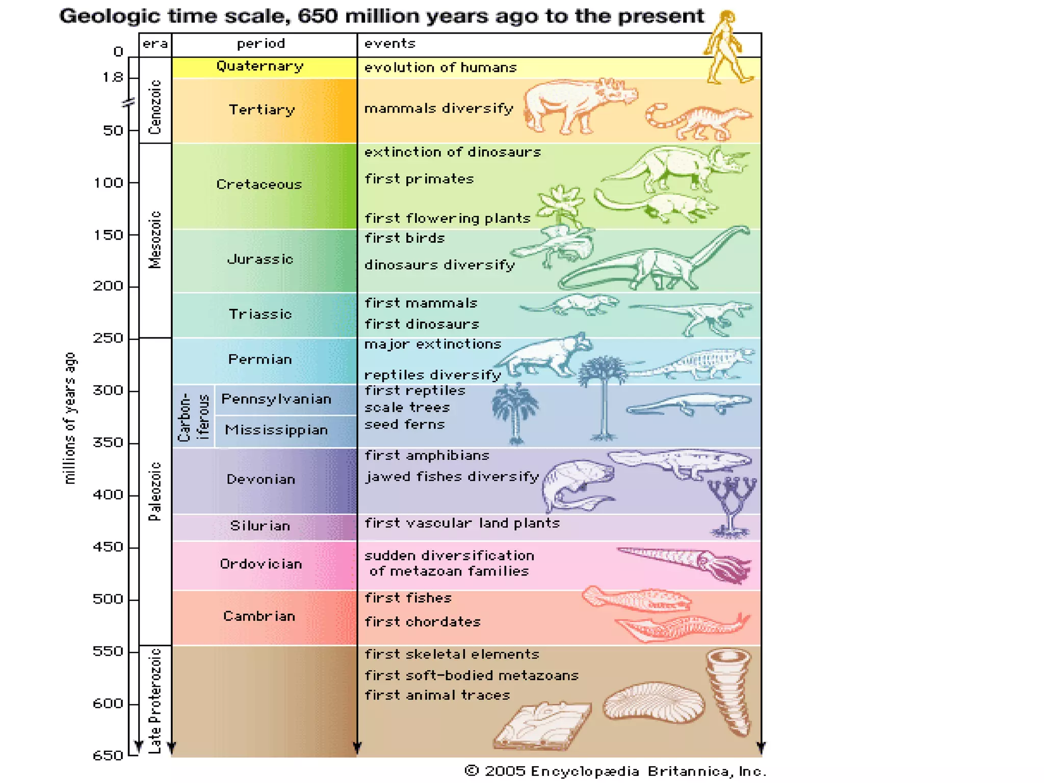 Which Era Ruled The Mammals? (Paleozoic, Mesozoic, Cenozoic?) - 93u8lpk