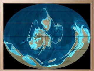 Al final del período, Gondwana se acercó al polo sur y se congeló. 