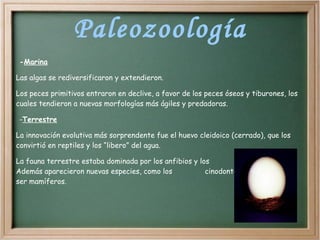 Se formaron yacimientos de petróleo y gas en algunas zonas. 