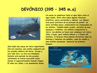 DEVÓNICO (395 – 345 m.a)
                                                Los peces se adaptaron tanto al agua dulce como al
                                                agua salada. Entre ellos había algunos tiburones
                                                primitivos, peces acorazados y dipnoos. Los dipnoos
                                                eran peces provistos de un principio de pulmón. De
                                                estos extraños peces, evolucionaron los antepasados de
                                                los anfibios. También había corales, estrellas de mar,
                                                esponjas y trilobites. Los anfibios conquistaron la
                                                tierra. Las plantas se hacen mas complejas con raíces,
                                                tallos y hojas, pero todavía leñosas y a finales del
                                                Devónico, lo hicieron otras plantas terrestres como los
                                                helechos y helechos con semillas, colas de caballo y
                                                unos árboles escamosos. Aparecen los primeros
                                                bosques.
Solo había dos masas de tierra importantes.
Una era Laurasia, que estaba compuesta por
los actuales América del Norte, Europa y
casi toda Asia. La otra era Gondwana.
Durante este periodo los dos grandes
continentes se fueron acercando hasta
formar el supercontienente llamado Pangea.
El clima era cálido y con abundantes lluvias.
 