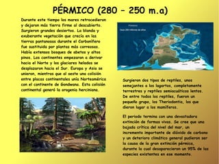 PÉRMICO (280 – 250 m.a)
Durante este tiempo los mares retrocedieron
y dejaron más tierra firme al descubierto.
Surgieron grandes desiertos. La blanda y
exuberante vegetación que crecía en las
tierras pantanosas durante el Carbonífero
fue sustituida por plantas más correosas.
Había extensos bosques de abetos y altos
pinos. Los continentes empezaron a derivar
hacia el Norte y los glaciares helados se
desplazaron hacia el Sur. Europa y Asia se
unieron, mientras que al oeste una colisión
entre placas continentales unía Norteamérica   Surgieron dos tipos de reptiles, unos
con el continente de Gondwana. Esta colisión   semejantes a los lagartos, completamente
continental generó la orogenia herciniana.     terrestres y reptiles semiacuáticos lentos.
                                               De entre todos los reptiles, fueron un
                                               pequeño grupo, los Theriodontia, los que
                                               dieron lugar a los mamíferos.

                                               El periodo termina con una devastadora
                                               extinción de formas vivas. Se cree que una
                                               bajada crítica del nivel del mar, un
                                               incremento importante de dióxido de carbono
                                               y un deterioro climático general pudieron ser
                                               la causa de la gran extinción pérmica,
                                               durante la cual desaparecieron un 95% de las
                                               especies existentes en ese momento.
 
