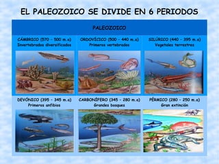 EL PALEOZOICO SE DIVIDE EN 6 PERIODOS
                                     PALEOZOICO

CÁMBRICO (570 – 500 m.a)       ORDOVÍCICO (500 – 440 m.a)    SILÚRICO (440 – 395 m.a)
Invertebrados diversificados      Primeros vertebrados          Vegetales terrestres




DEVÓNICO (395 – 345 m.a)       CARBONÍFERO (345 – 280 m.a)   PÉRMICO (280 – 250 m.a)
    Primeros anfibios                Grandes bosques              Gran extinción
 