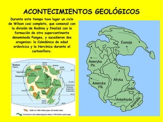 ACONTECIMIENTOS GEOLÓGICOS
 Durante este tiempo tuvo lugar un ciclo
de Wilson casi completo, que comenzó con
  la división de Rodinia y finalizó con la
    formación de otro supercontinente
  denominado Pangea, y sucedieron dos
     orogenias: la Caledónica de edad
   ordovícica y la Hercínica durante el
                carbonífero.
 