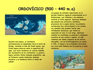 ORDOVÍCICO (500 – 440 m.a)
                                                   Los grupos de animales importantes en el
                                                   período Cámbrico siguieron evolucionando en el
                                                   Ordovicense. Los trilobites y los moluscos
                                                   tuvieron un éxito especial. Aparecen animales
                                                   que poseían una estructura anatómica
                                                   precursora de la espina dorsal, los primeros
                                                   vertebrados (los calcicordianos) y los corales.
                                                   Los animales más grandes fueron unos
                                                   cefalópodos (moluscos), que tenían un
                                                   caparazón de unos 3 m de largo. Aparecen
                                                   también los nautiloides se parecían a calamares
                                                   envueltos en una concha o espiral. La vida
                                                   comienza una tímida conquista de las tierras
Durante esta época, el continente                  emergidas, con las briofitas(plantas sin raíces,
norteamericano se desplazaba hacía el norte de     ni tallo, ni hojas) y los artrópodos terrestres.
Europa, elevando el lodo del fondo marino, que     Las rocas más famosas son las pizarras y lavas
formó negras pizarras sobre la superficie del      volcánicas.
agua. Las rocas volcánicas se crearon también
por movimientos de los continentes. La pizarra
negra contiene fósiles llamados graptolites, que
se formaron cuando minúsculos animales
murieron y se hundieron hasta el fondo del
océano.
 