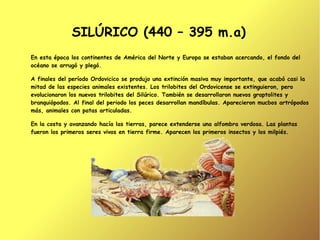 SILÚRICO (440 – 395 m.a)
En esta época los continentes de América del Norte y Europa se estaban acercando, el fondo del
océano se arrugó y plegó.

A finales del período Ordovicico se produjo una extinción masiva muy importante, que acabó casi la
mitad de las especies animales existentes. Los trilobites del Ordovicense se extinguieron, pero
evolucionaron los nuevos trilobites del Silúrico. También se desarrollaron nuevos graptolites y
branquiópodos. Al final del periodo los peces desarrollan mandíbulas. Aparecieron mucbos artrópodos
más, animales con patas articuladas.

En la costa y avanzando hacía las tierras, parece extenderse una alfombra verdosa. Las plantas
fueron los primeros seres vivos en tierra firme. Aparecen los primeros insectos y los milpiés.
 
