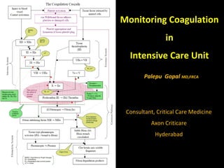 Monitoring Coagulation 
in 
Intensive Care Unit 
Palepu Gopal MD,FRCA 
Consultant, Critical Care Medicine 
Axon Criticare 
Hyderabad 
 