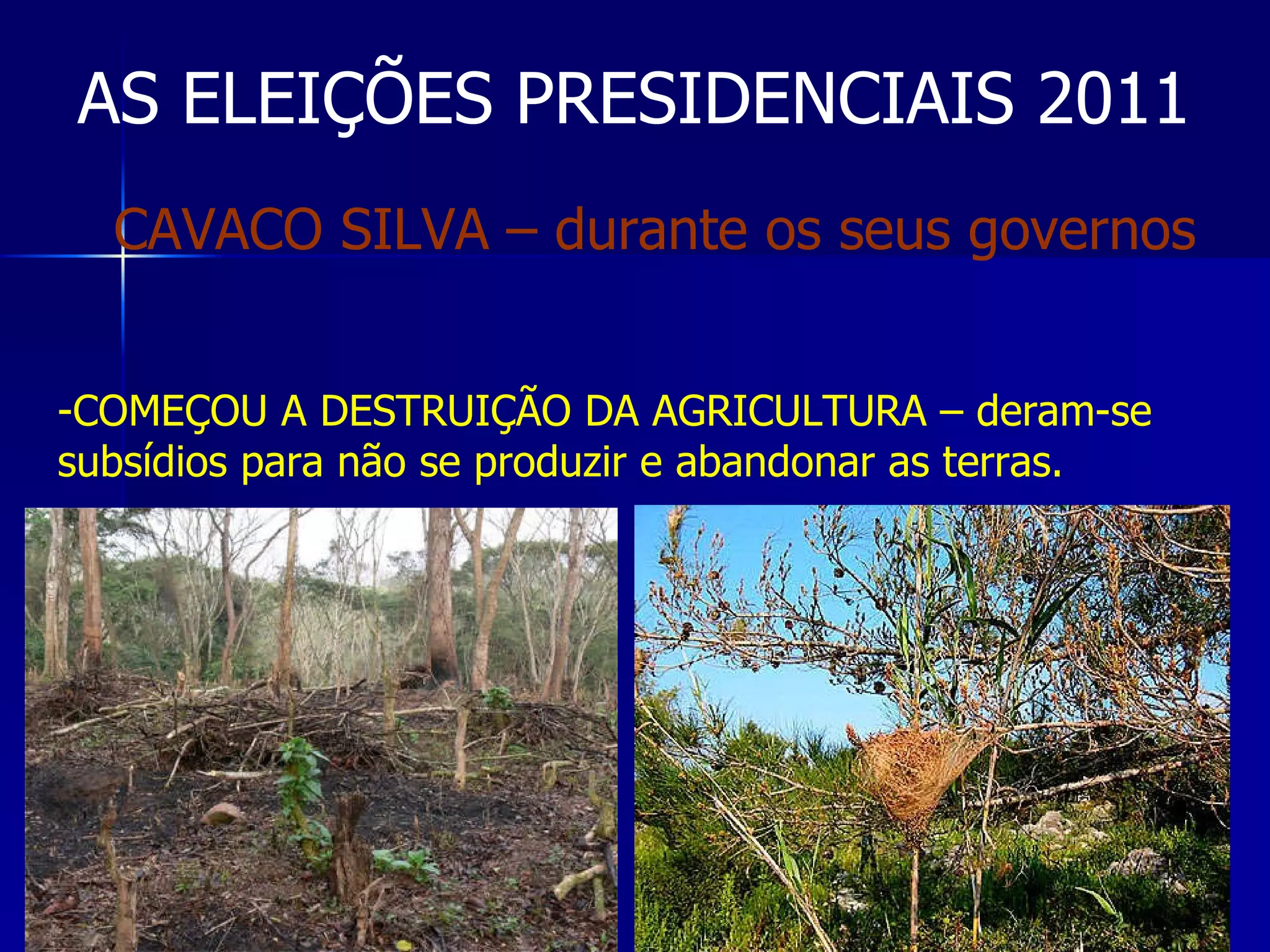AS ELEIÇÕES PRESIDENCIAIS 2011 COMEÇOU A DESTRUIÇÃO DA AGRICULTURA – deram-se subsídios para não se produzir e abandonar as terras. CAVACO SILVA – durante os seus governos 