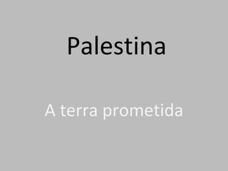 Palestina A terra prometida 