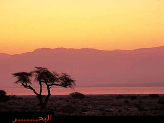 البحـــــــر الميـــت   