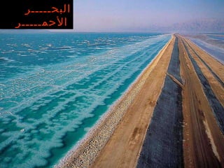 البحـــــر الأحمـــــر   