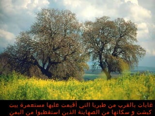 غابات بالقرب من طبريا التي أقيمت عليها مستعمرة بيت كيشت و سكانها من الصهاينة الذين استقطبوا من اليمن   