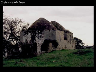 Yafa – our old home 
