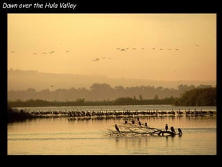 Dawn over the Hula Valley 