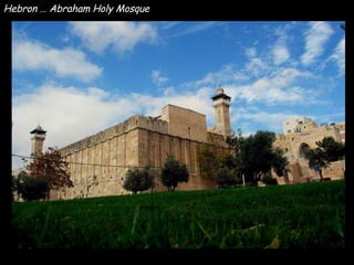 Hebron … Abraham Holy Mosque 