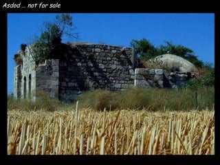Asdod … not for sale 