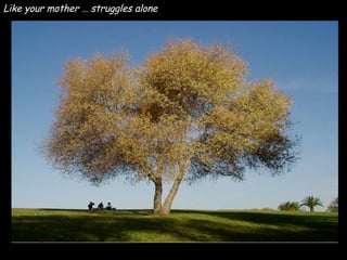 Like your mother … struggles alone  