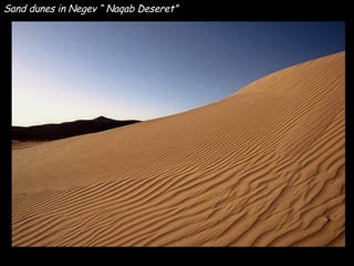 Sand dunes in Negev “ Naqab Deseret” 