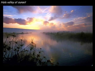 Hula valley at sunset 