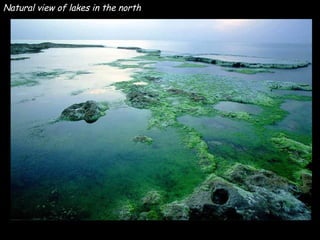 Natural view of lakes in the north 
