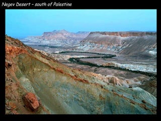 Negev Desert – south of Palestine 