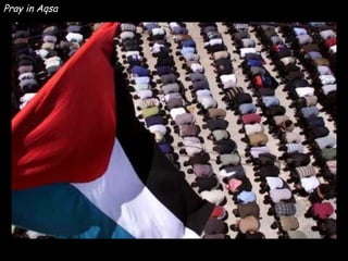 Pray in Aqsa 