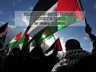 Palestine in united nations | PPT