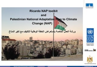 1© Ricardo-AEA LtdRicardo Energy & Environment in Confidence
Ricardo NAP toolkit
and
Palestinian National Adaptation Plan to Climate
Change (NAP)
‫للتكيف‬ ‫الوطنية‬ ‫الخطة‬ ‫باستعراض‬ ‫الخاصة‬ ‫العمل‬ ‫ورشة‬‫المناخ‬ ‫تغير‬ ‫مع‬
 
