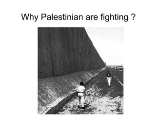Why Palestinian are fighting ? 